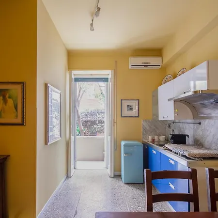 B&B Anturium